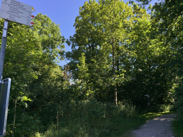 Hündeleskopfhütte vegan