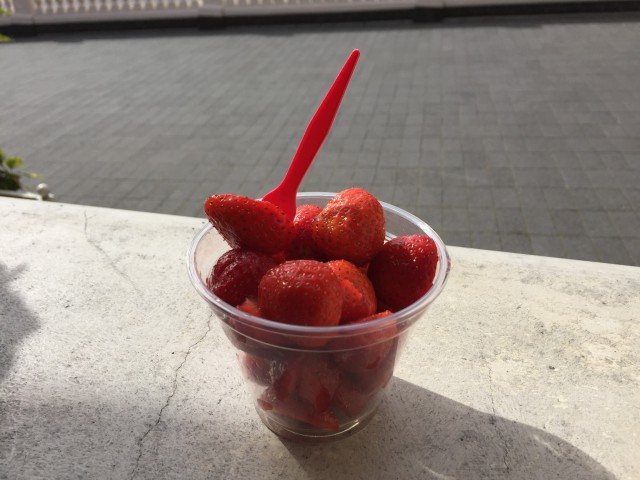 phantasialand-vegan-81